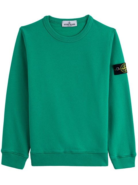 stone island green sweatshirt