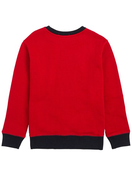 polo tiger sweatshirt